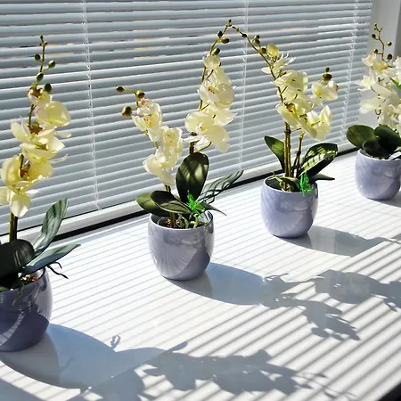 Apartamento Luna Kołobrzeg