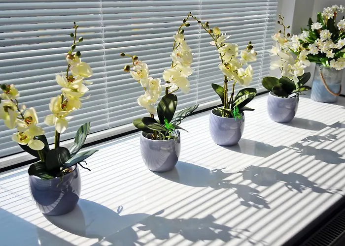 Apartamento Luna Kołobrzeg